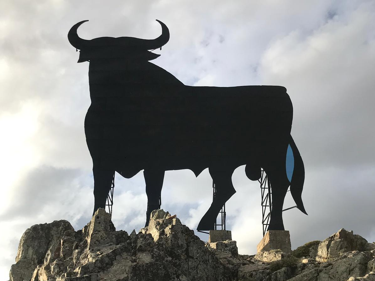 osborne-bull